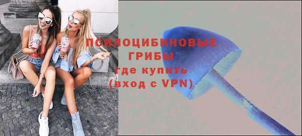 молекула духа Гусь-Хрустальный