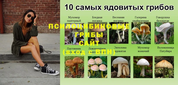 марки lsd Гусев