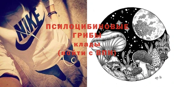 молекула духа Гусь-Хрустальный