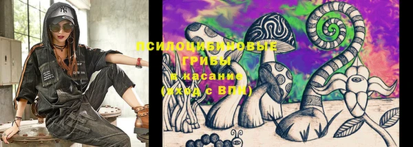 марки lsd Гусев