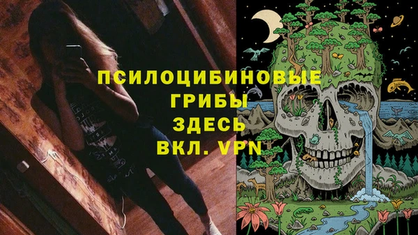 марки lsd Гусев