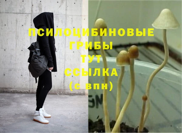 марки lsd Гусев